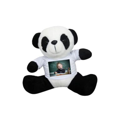 Peluche panda personnalisé avec la photo de votre enfant 