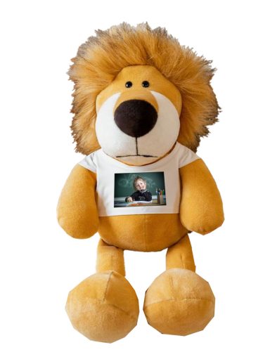 Peluche lion personnalisé avec la photo de votre enfant 