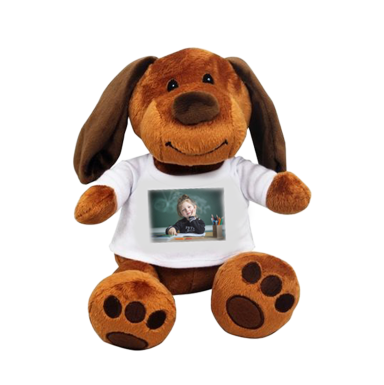 Peluche chien personnalisé avec la photo de votre enfant 